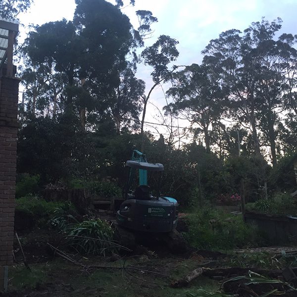 Home Renovation Specialists Dandenong
